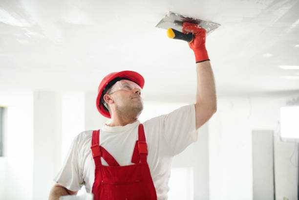 Best Interior Painting  in Morrison, IL